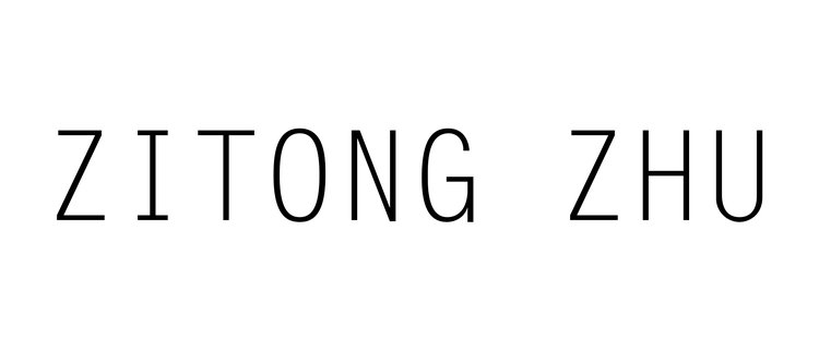 Zitong Zhu  |  Visual Artist