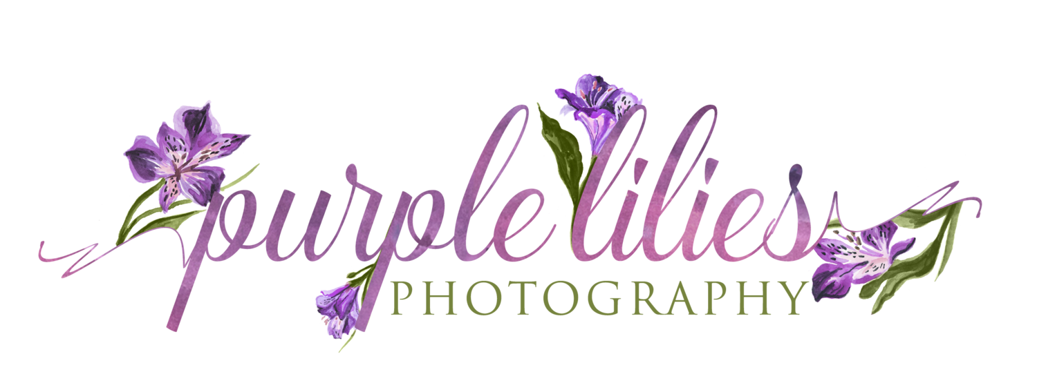 Purple Lilies Photography