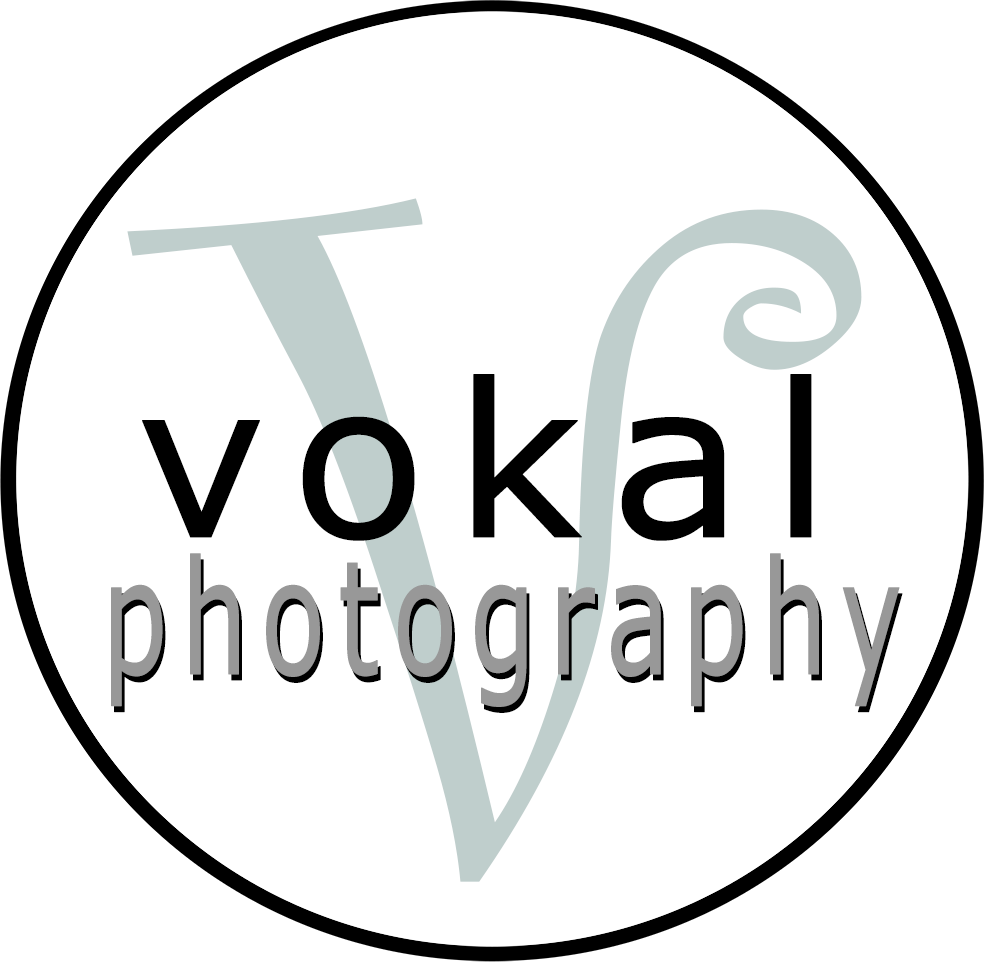 Vokal Photography