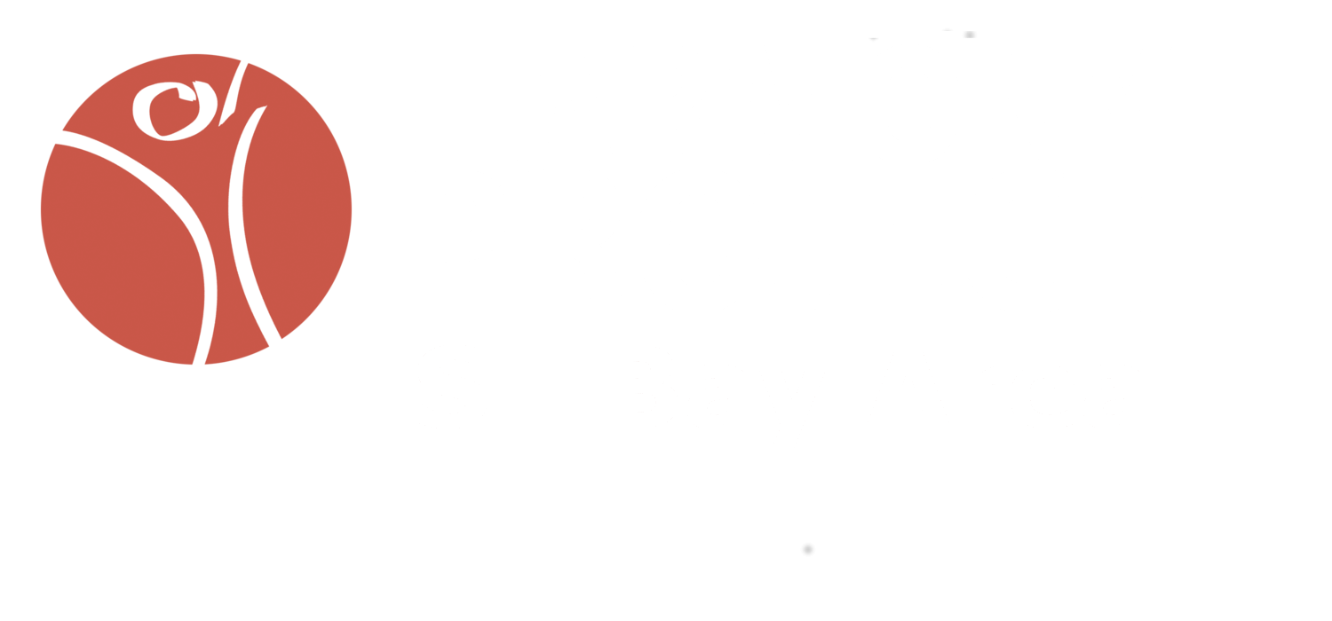 Harmony Project San Francisco