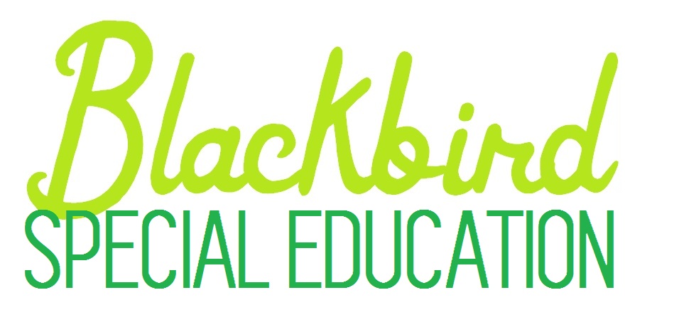 Blackbird Special Education