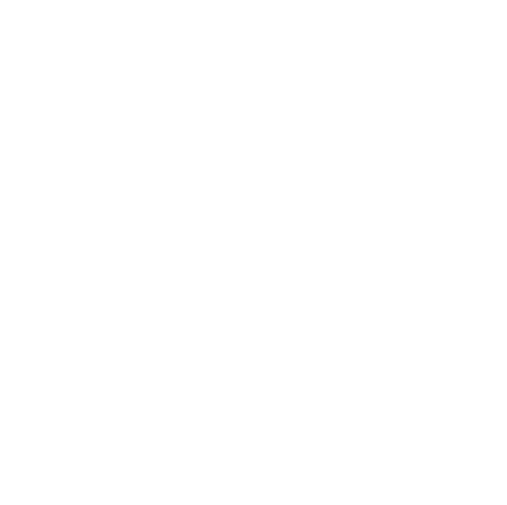 Jesse Zhang's Personal Website