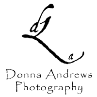 Donna Andrews Photography