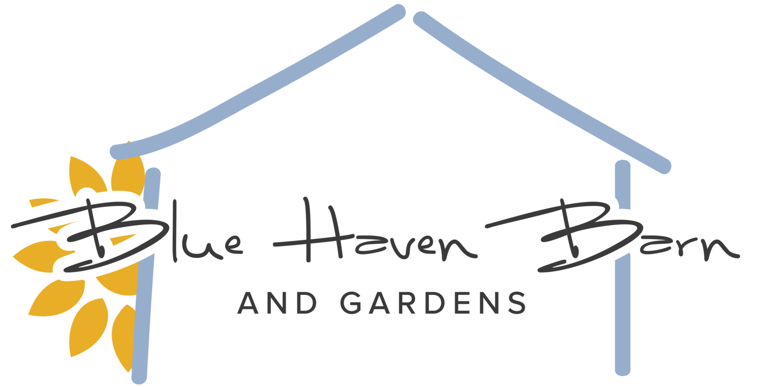 Blue Haven Barn and Gardens