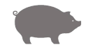 Spit Roast for Hire 