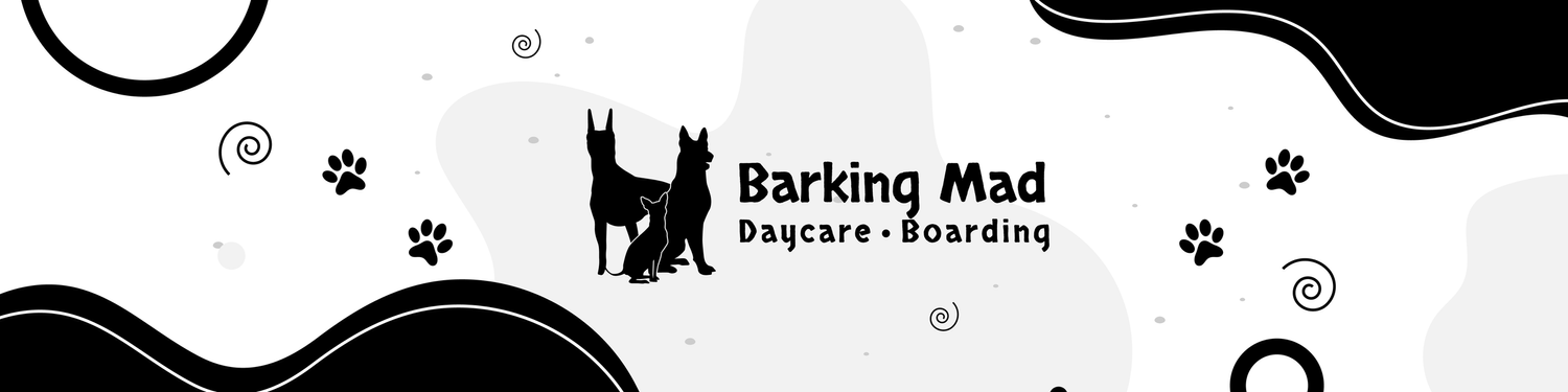 Barking Mad 