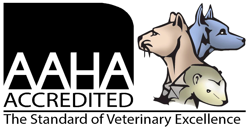 Adoption & Rescue — West End Animal Hospital – Gainesville Jonesville  Newberry Trenton Alachua Veterinary Clinic