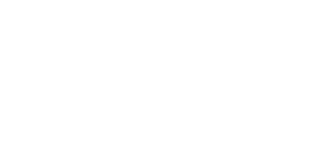 The Newspaper Taxis