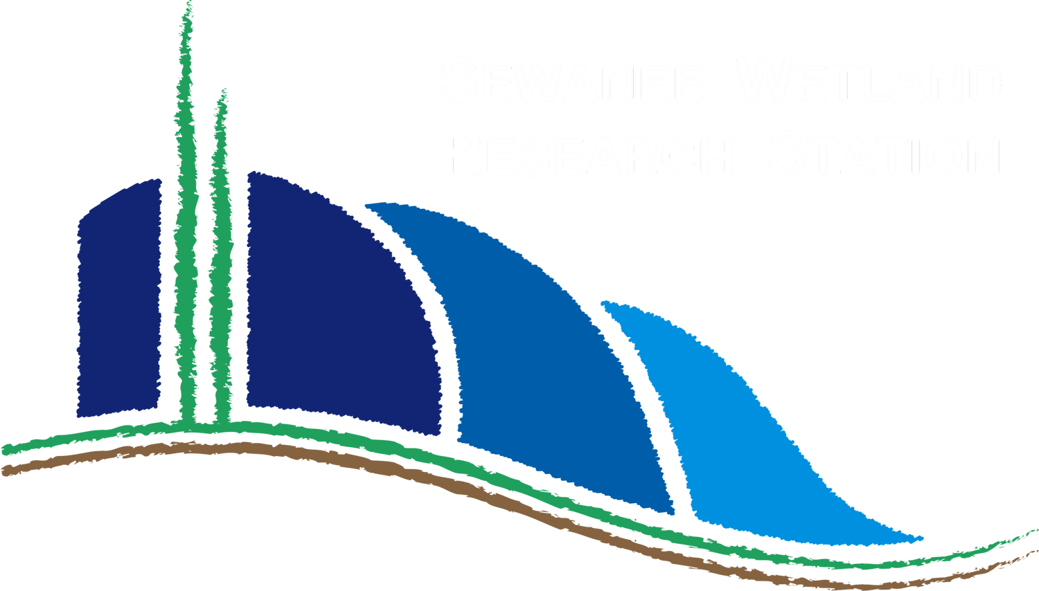 Sewanee Wetlands