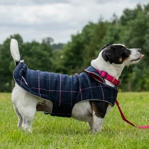 Doodlebone coat 2025