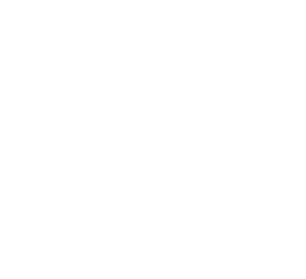 Hastings Airport Association