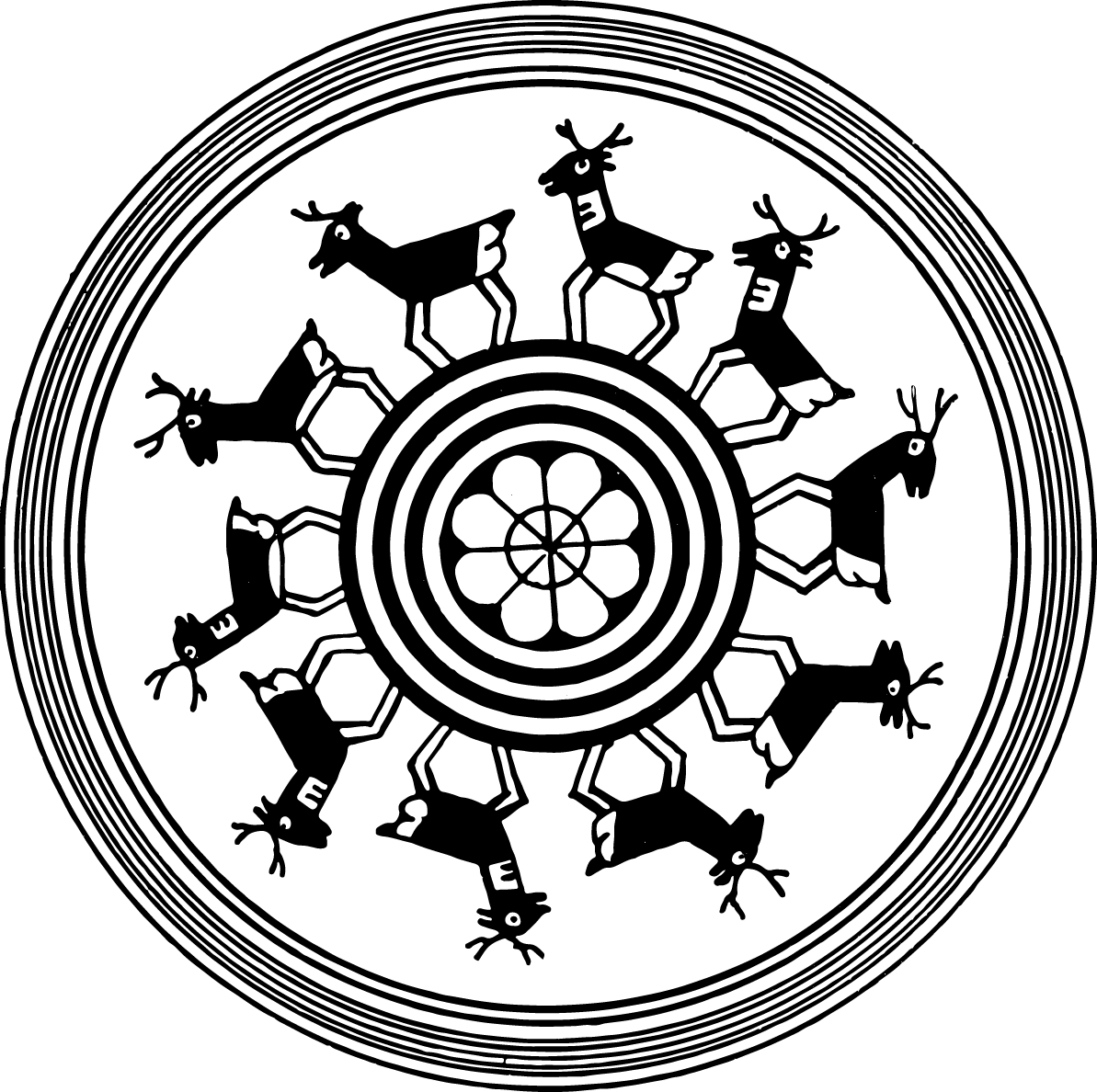 Chihuahua Desert Guide Service