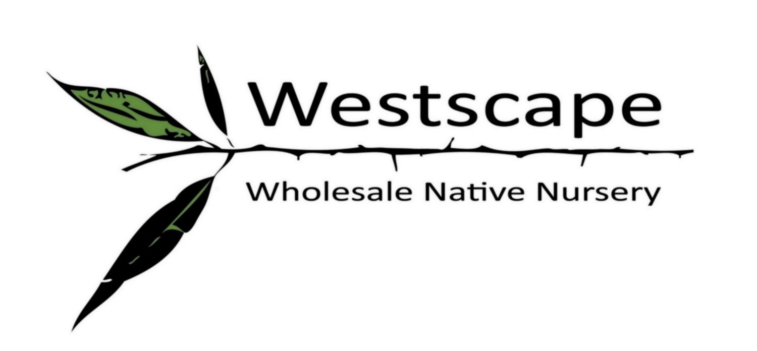 Westscape Wholesale Nursery