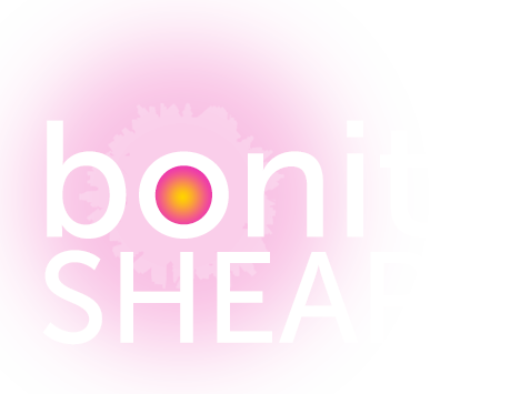 Bonita Shear - Ignite your consciousness 