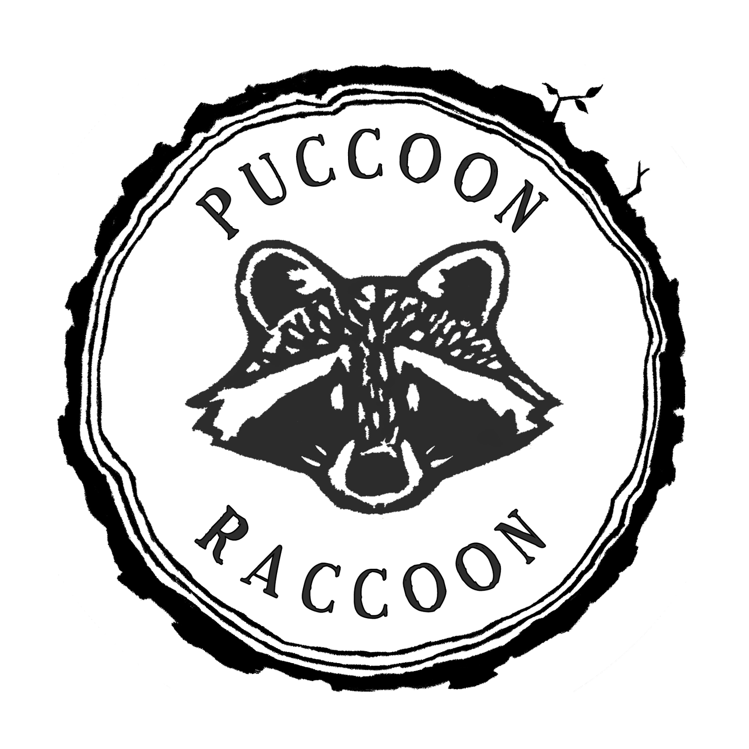 Puccoon Raccoon