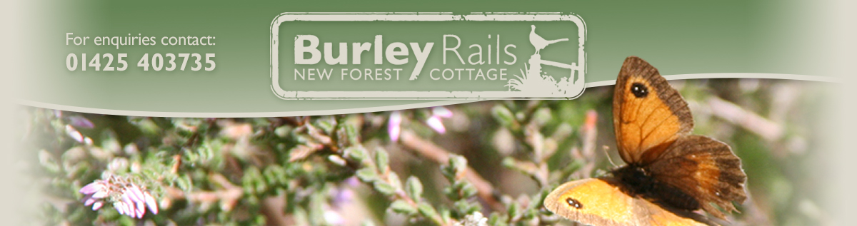 Burley Rails Cottage and Stables