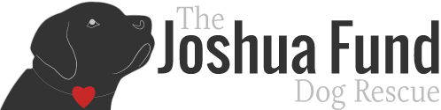 The Joshua Fund, Inc.