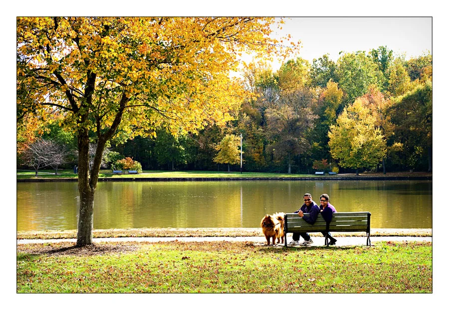 k&k_park_engagements_1