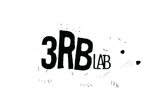  3RBlab.