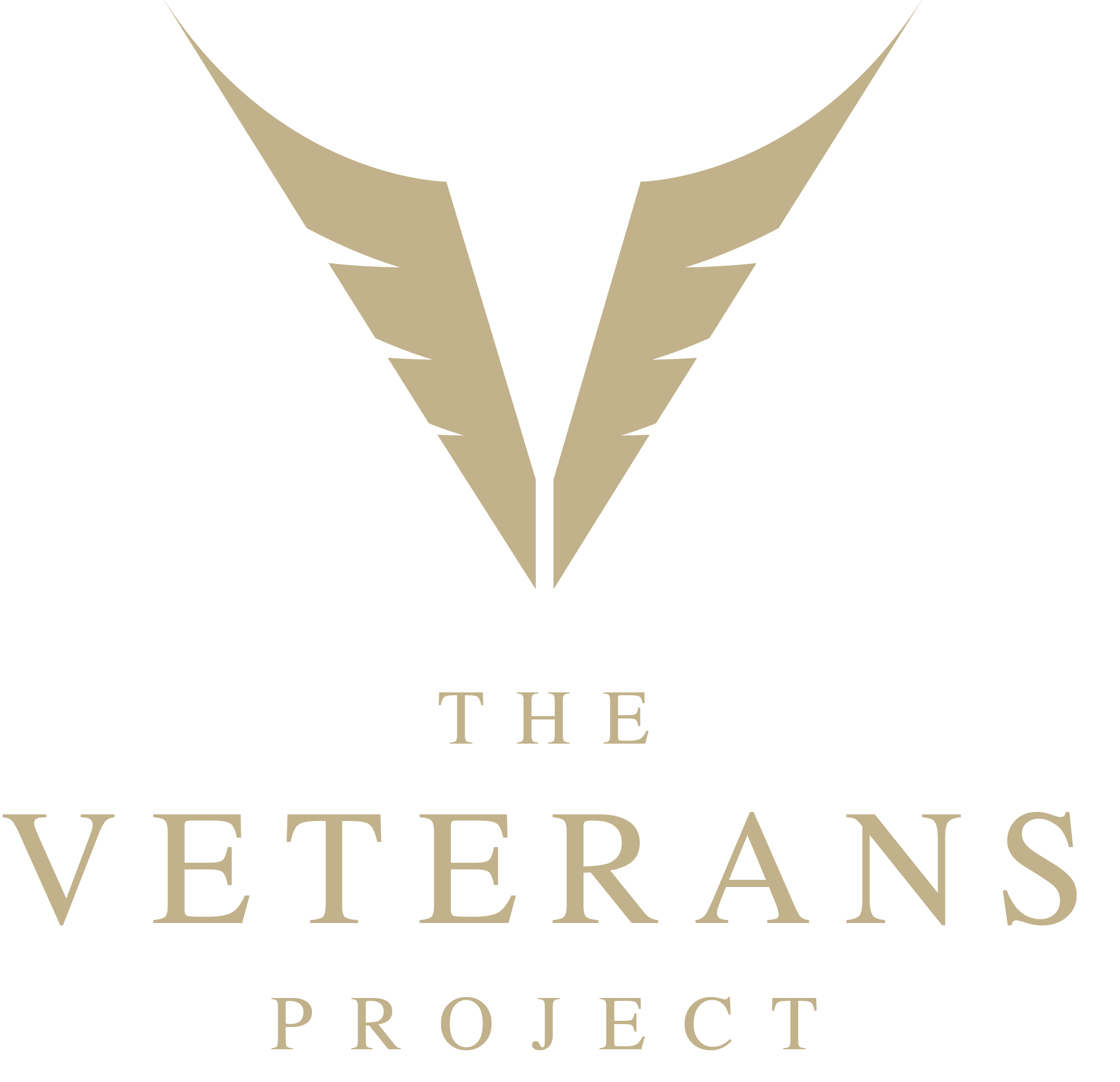 The Veterans Project