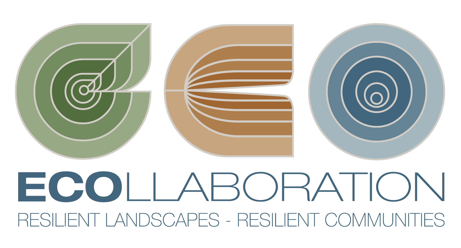 ECOllaboration LTD