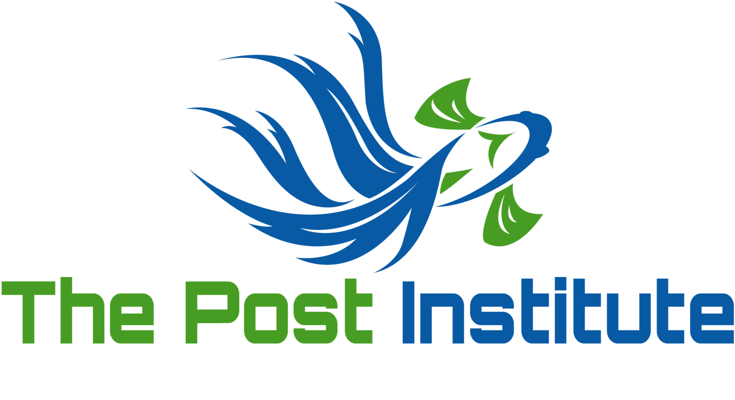 The Post Institute