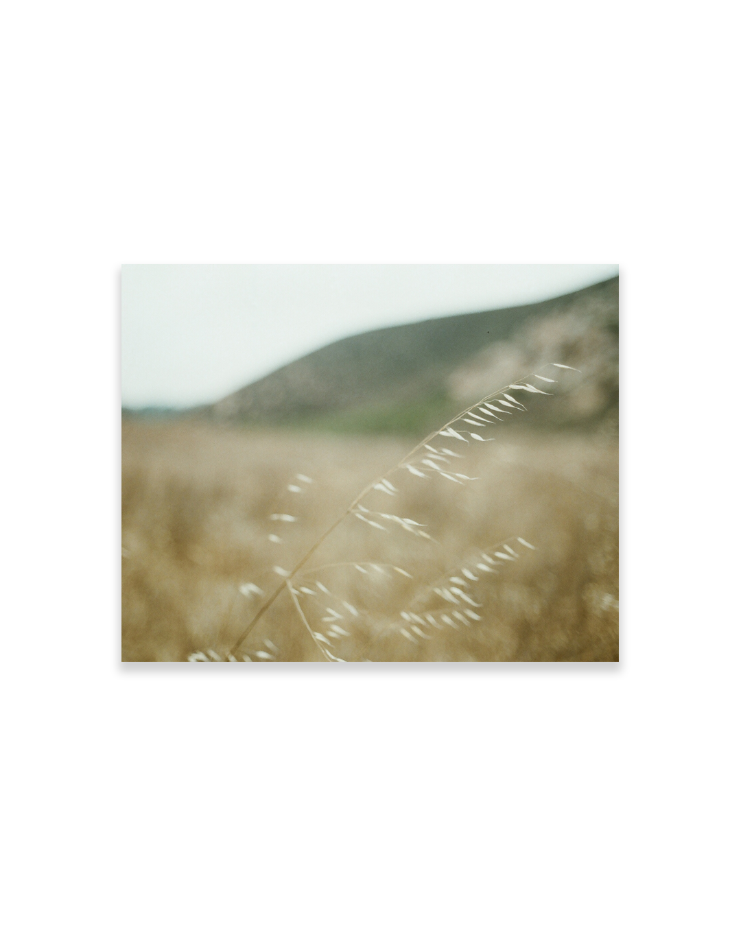 the girl from up north