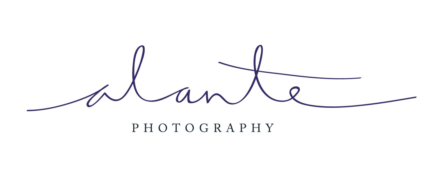 Alante Photography Blog