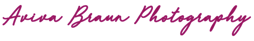 Aviva Braun Photography