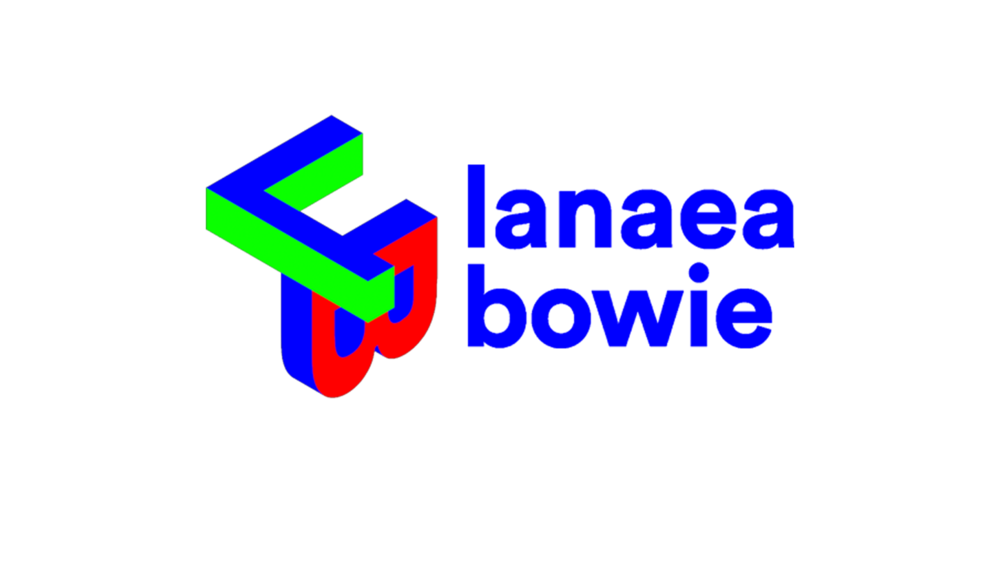 Lanaea Bowie - 3D Environment Artist
