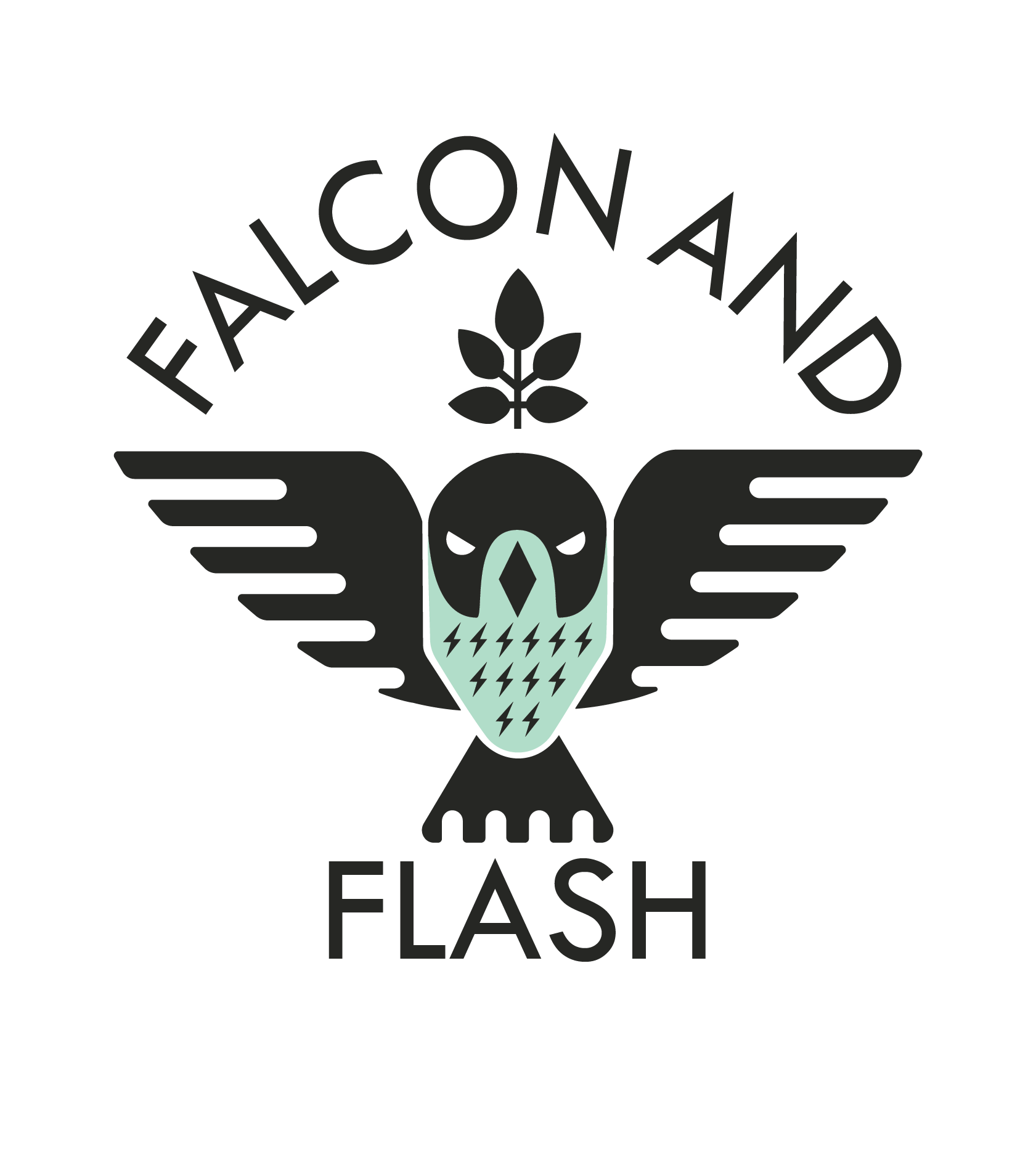Falcon and Flash Craft Spice Co.