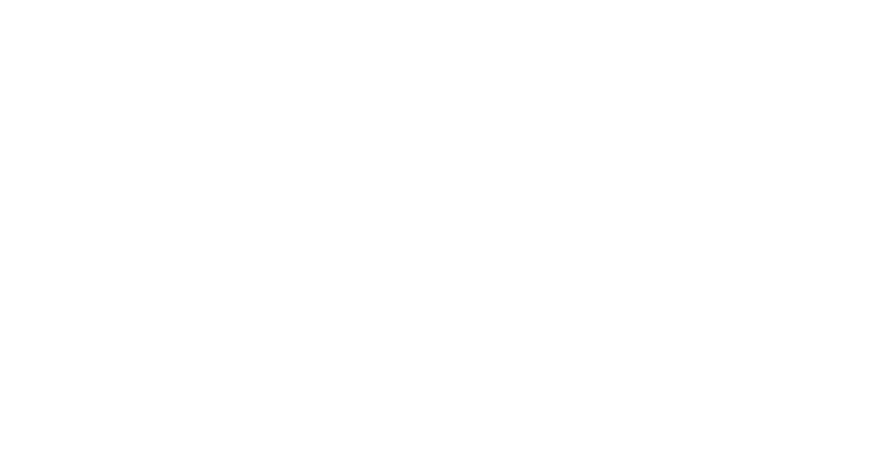 Al-Amir