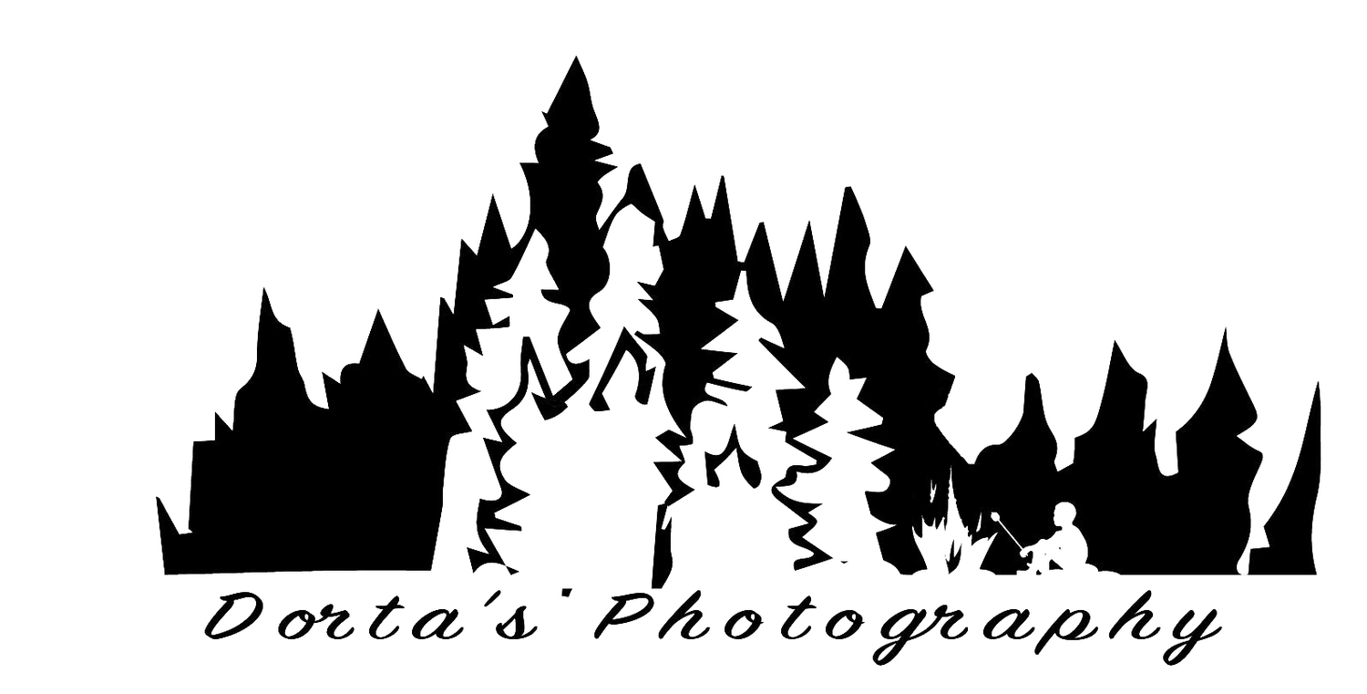DortasPhotography