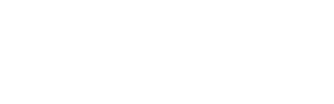 Stoney Miller Consultants, Inc.