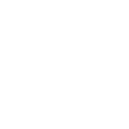 Leeyat Portfolio