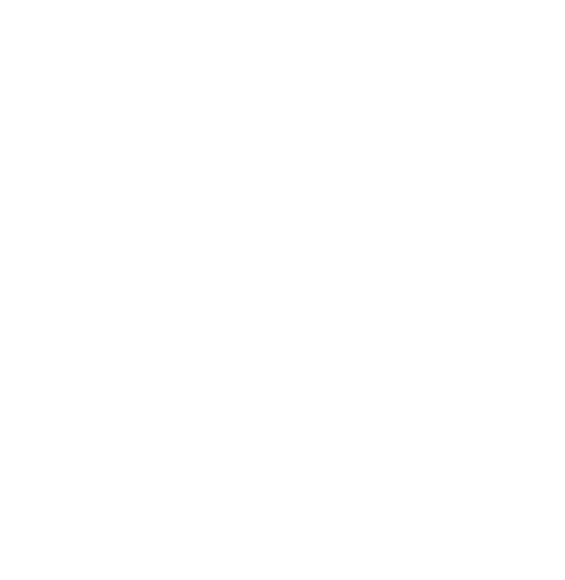 Brem Foundation