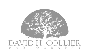 David H. Collier Photography