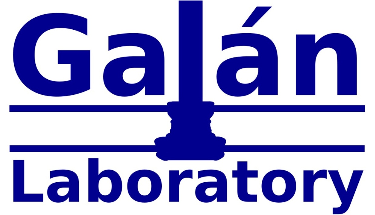 The Galán Laboratory