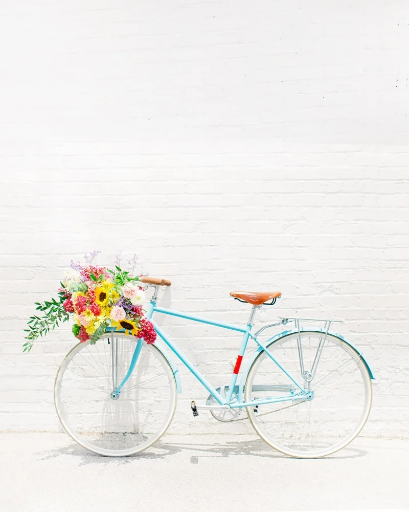 bike stands for sale