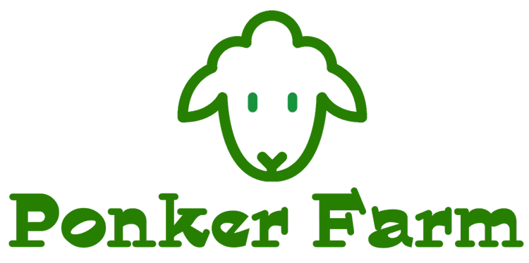 Ponker Farm Sheep