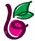 Berry Services