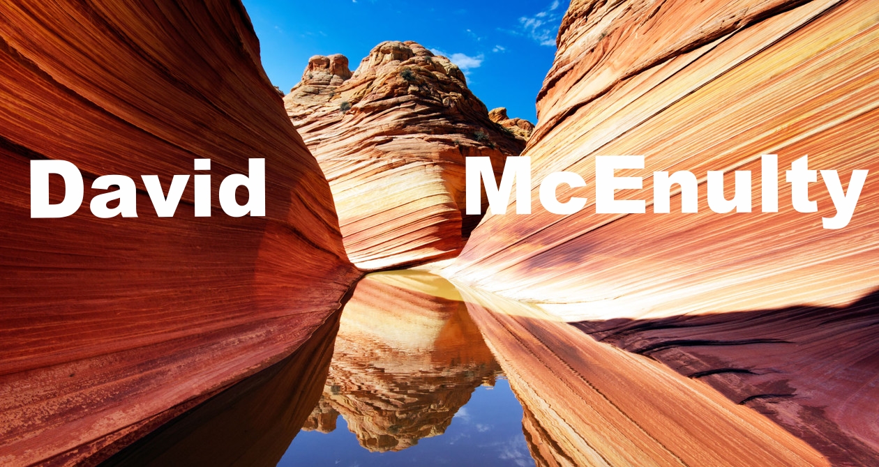 David McEnulty