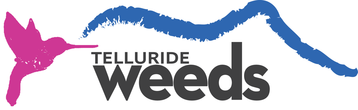 Weeds Telluride