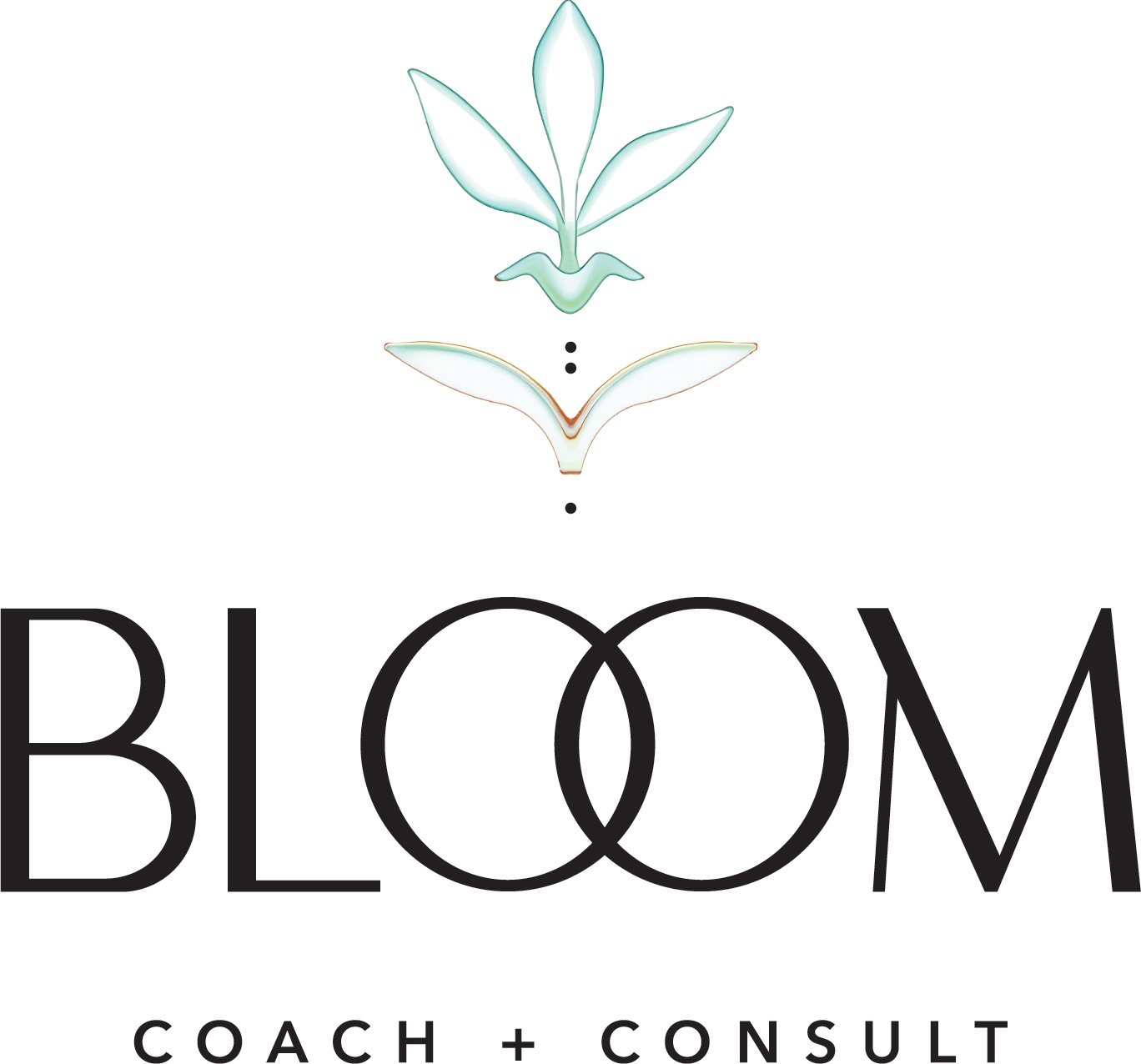 Bloom Coach + Consult | Compassionate Legal Solutions, Bay Area