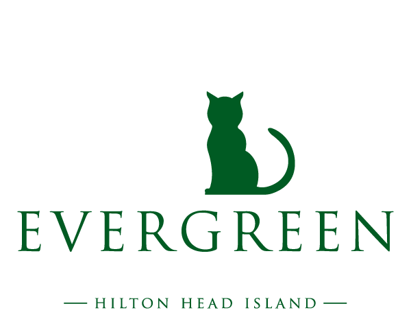 Evergreen Pet Lodge HHI