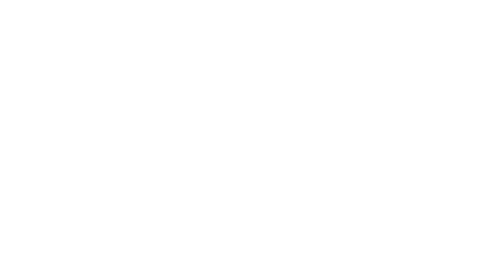 Lielit