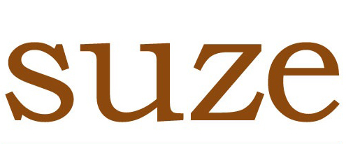 suze makeup celebrity artist