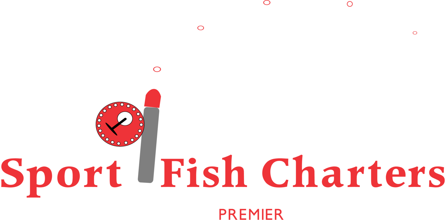 Drop Down Sport Fish Charters
