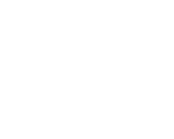 Sawyer House Project