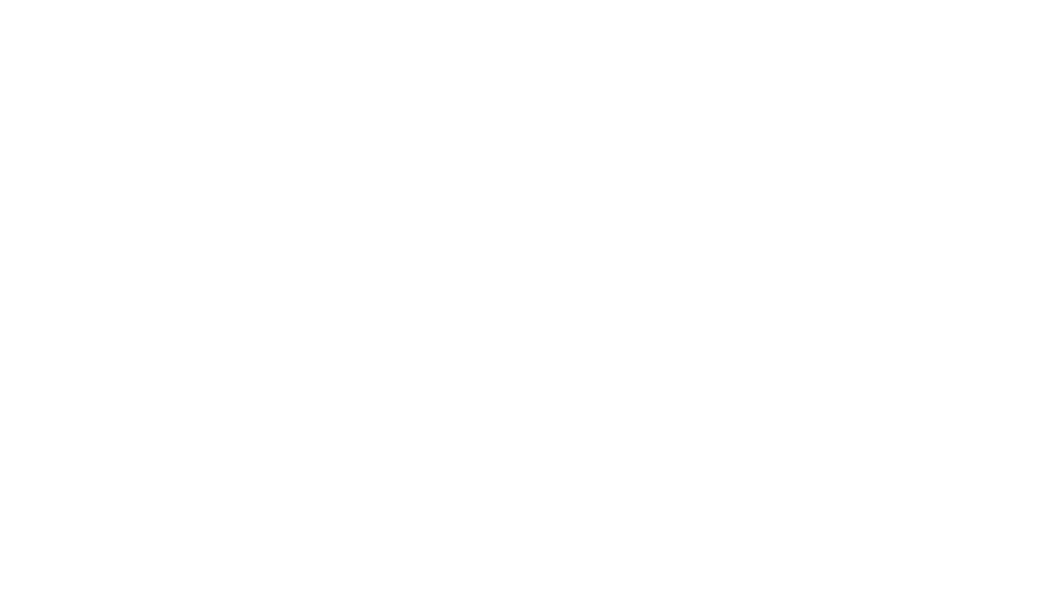    Satterwhite & Co. - Leadership, Diversity, Consulting